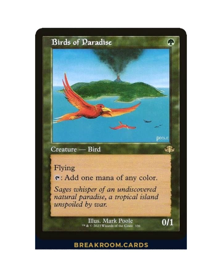 Birds of Paradise (Retro Frame)